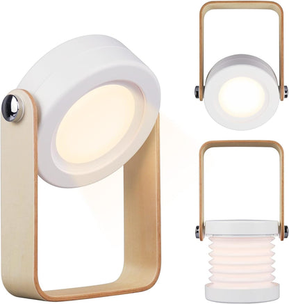 Virell™️ Rechargeable LED Foldable Light With Hanger